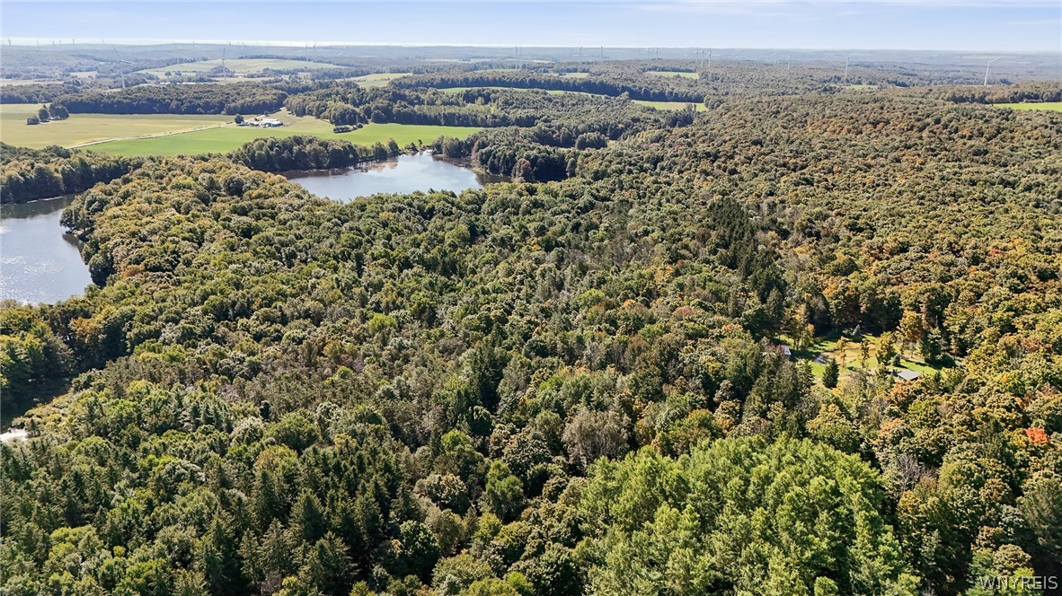 00 Pee Dee Road