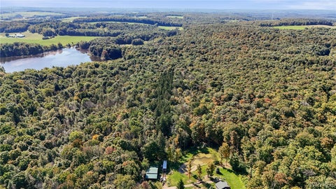 Photo for 00 Pee Dee Road