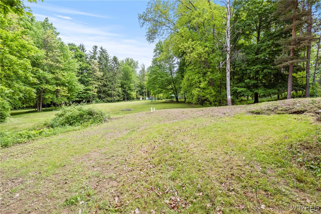 2118 Shirley Road, North Collins, New York image 41