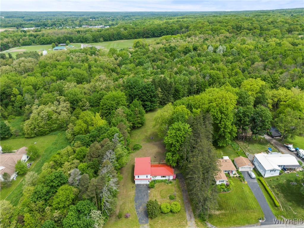 2118 Shirley Road, North Collins, New York image 42