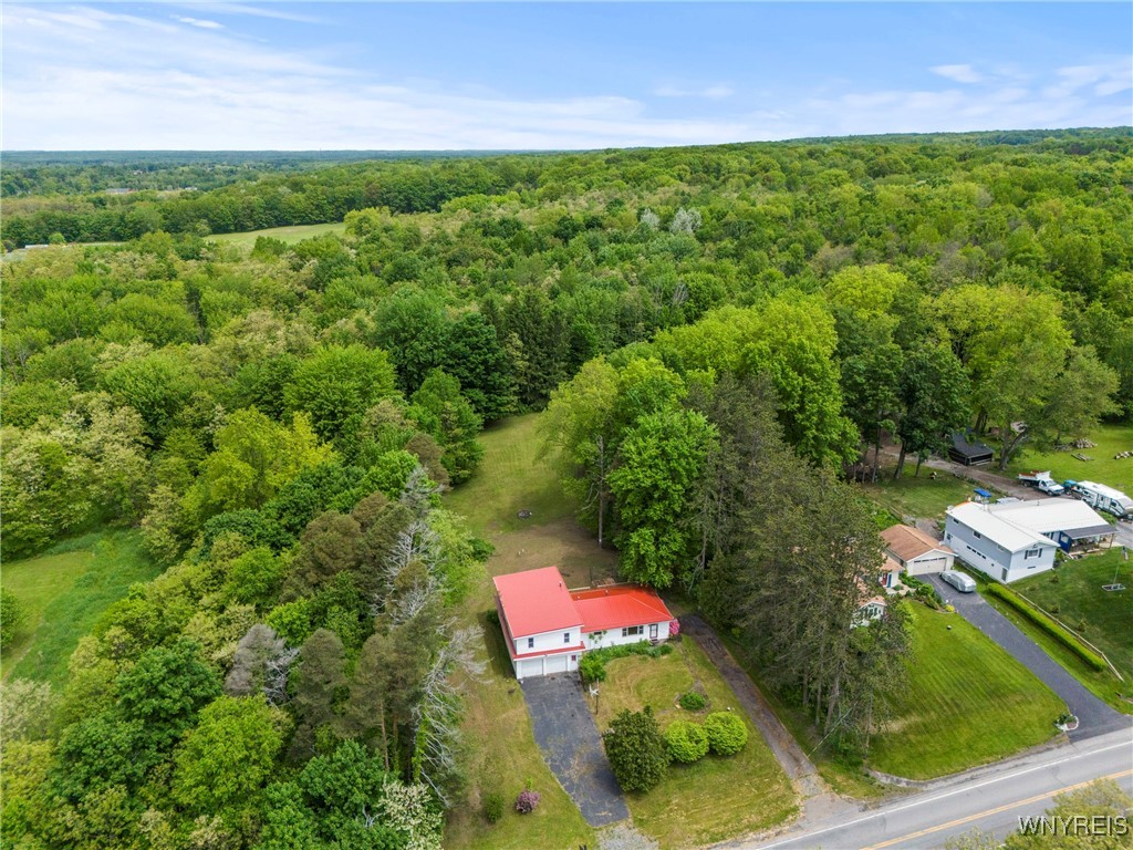 2118 Shirley Road, North Collins, New York image 43