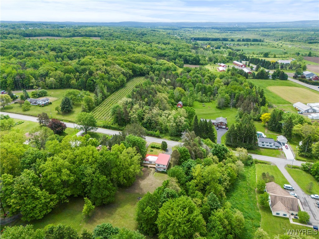 2118 Shirley Road, North Collins, New York image 44