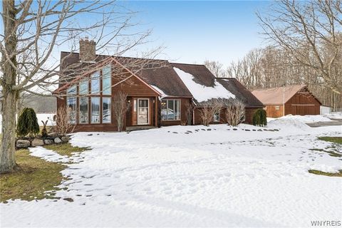 10900 Bowen Road Alexander NY 14005