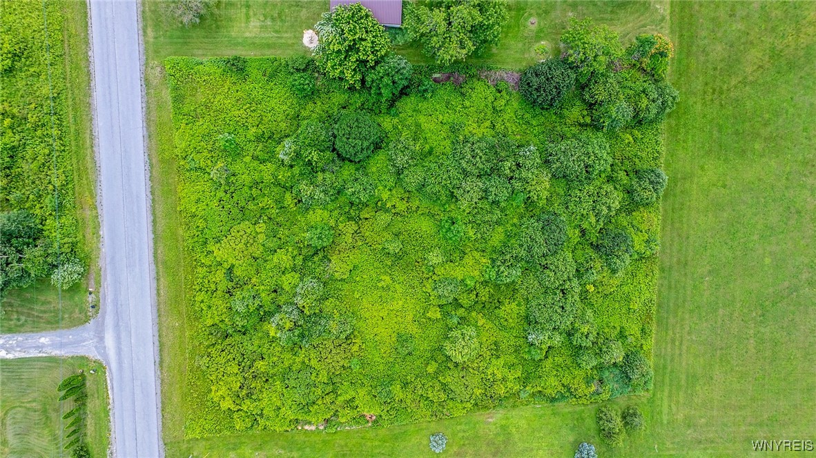 Chaddock Road, Attica, New York image 4