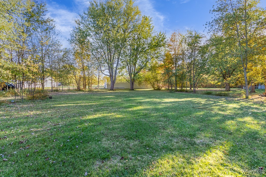 8115 Tonawanda Creek Road