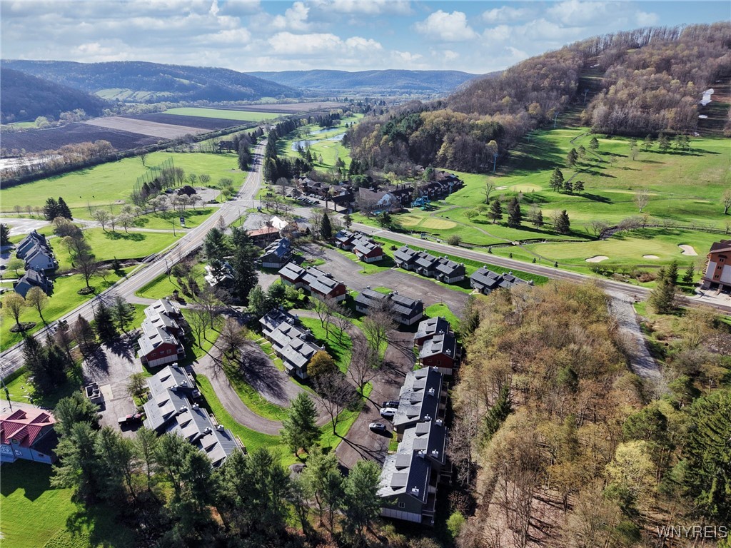 10 Alpine Mdws #10, Ellicottville, New York image 40