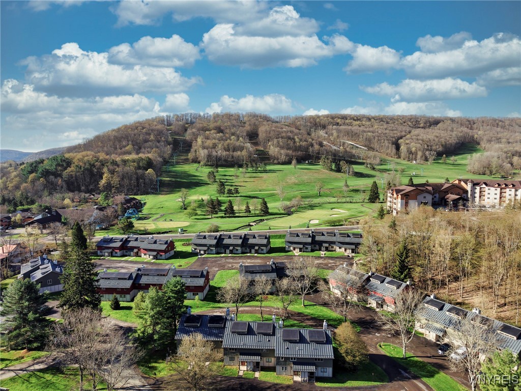 10 Alpine Mdws #10, Ellicottville, New York image 39