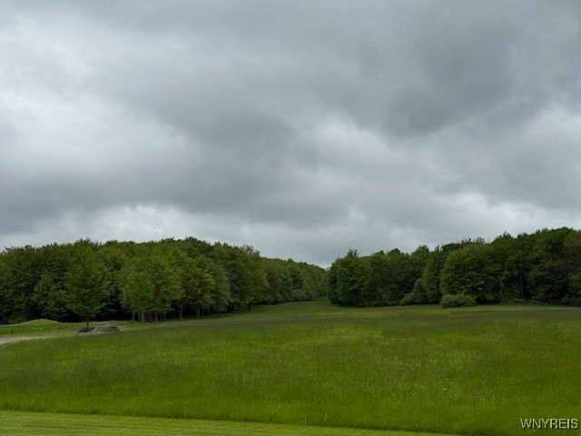 637 Davis Road, Aurora, New York image 6
