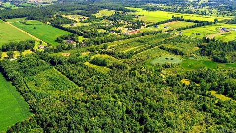 Tiny photo for 00 Barnum Rd, Newstead, NY 14001 (MLS # B1705377)