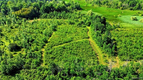 Tiny photo for 00 Barnum Rd, Newstead, NY 14001 (MLS # B1705377)