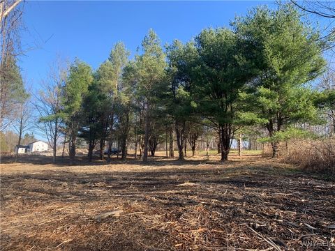 Vacant Land For Sale - 9164 Gowanda State Road<br/> Eden, NY 14057
