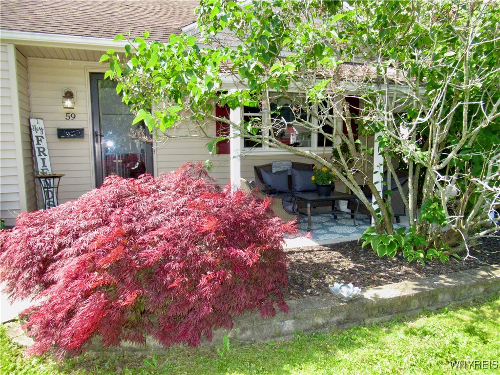 59 Wayne, Cheektowaga, New York image 3