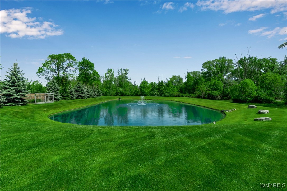 5623 Field Brook Drive, Clarence, New York image 30