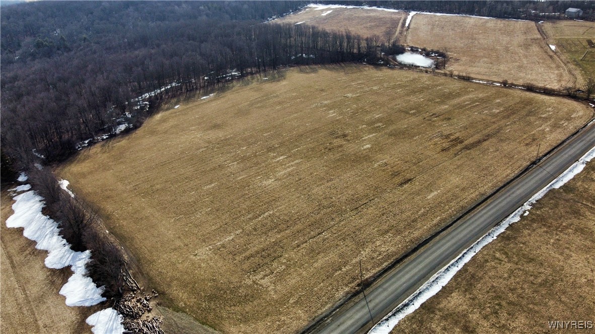VL Kellogg Hill Road, Leon, New York image 6