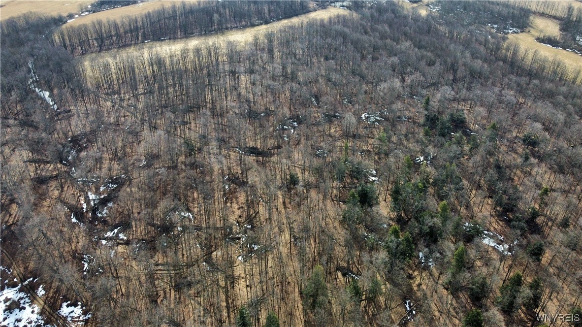 VL Kellogg Hill Road, Leon, New York image 13