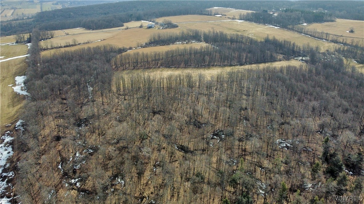 VL Kellogg Hill Road, Leon, New York image 10