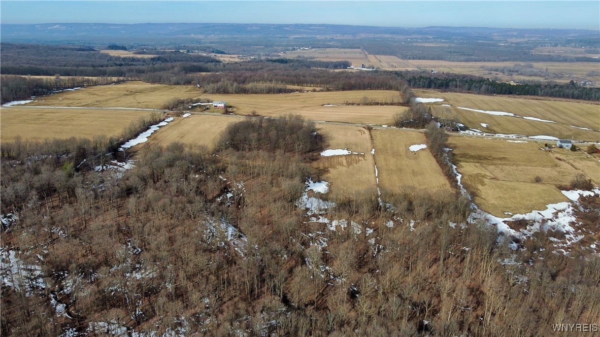 VL Kellogg Hill Road, Leon, New York image 18