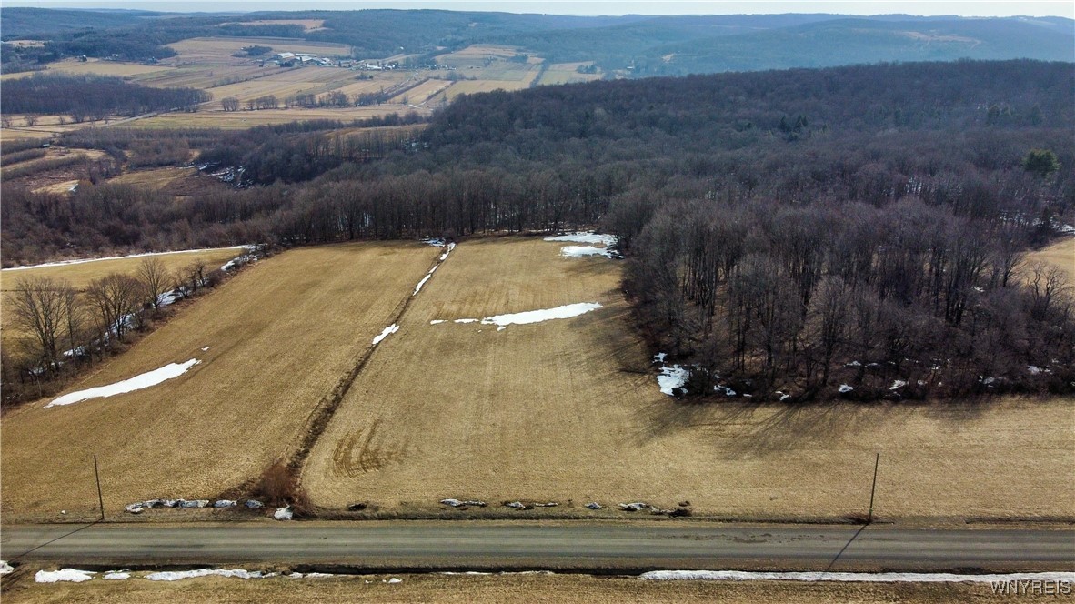 VL Kellogg Hill Road, Leon, New York image 9