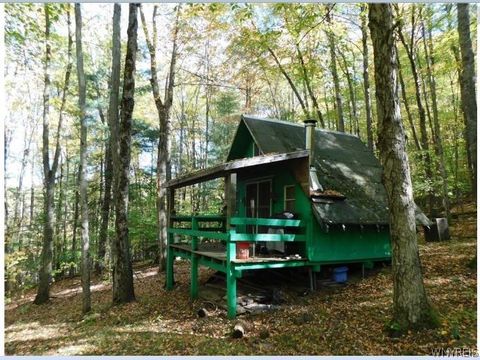 Vacant Land For Sale - 8005 Johnson Hill Road #2<br/> Clarksville, NY 14715