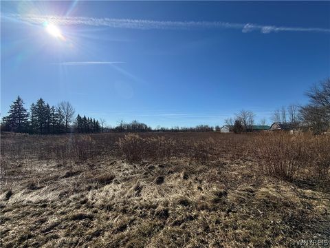 13151 Main Road Akron NY 14001