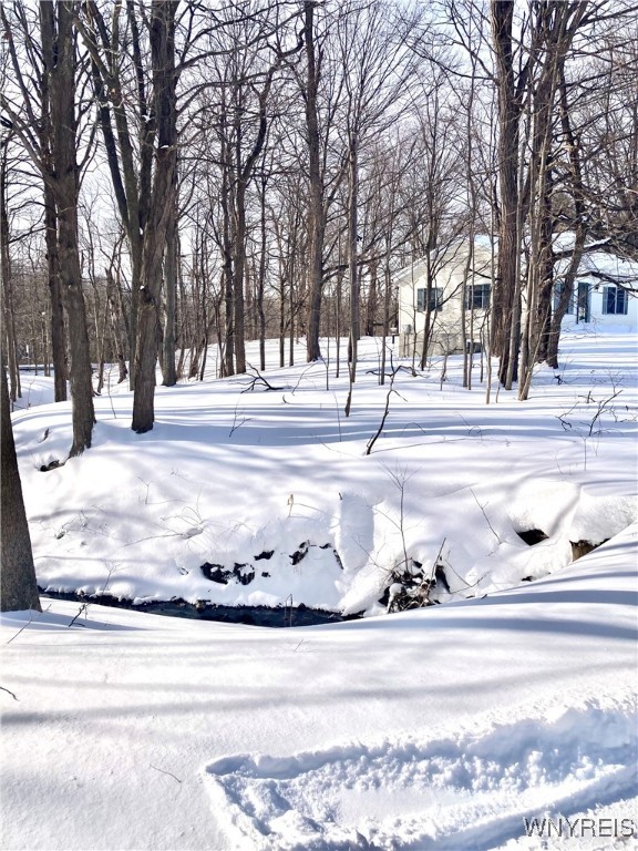 11260 Coleman Road, Marilla, New York image 38
