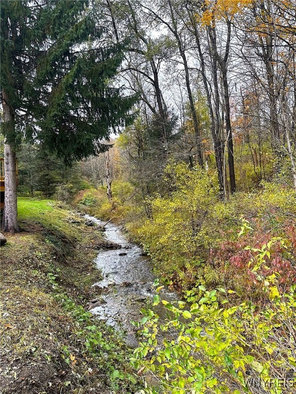 6924 Route 242, Ellicottville, New York image 42