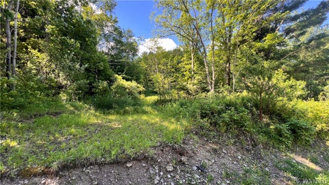 Vacant Land For Sale - Cherry Valley Road<br/> Allegany, NY 14706