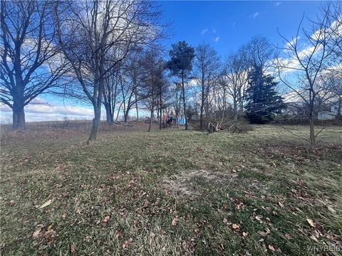 Vacant Land For Sale - 9695 Roanoke Road<br/> Genesee County, Stafford, NY 14143