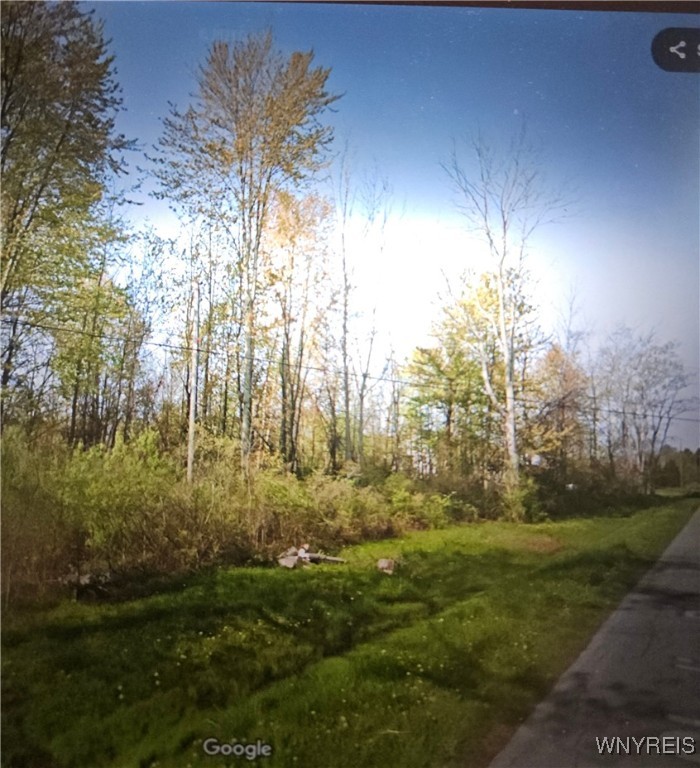 Wilson, New York 14108, United States, ,Land,Active,160167