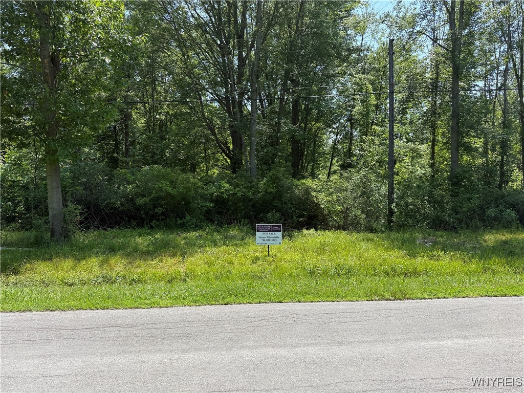 Wilson, New York 14108, United States, ,Land,Active,160167