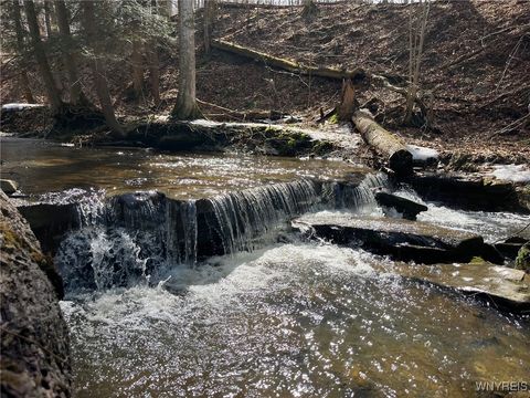 Vacant Land For Sale - 1292 Halls Corner Road<br/> Attica, NY 14011