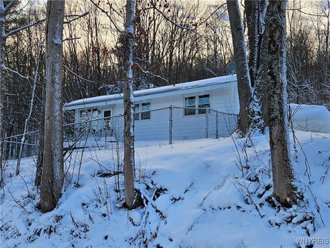 Homes For Sale - 8905 W Bucktooth Run Road<br/> Little Valley, NY 14755