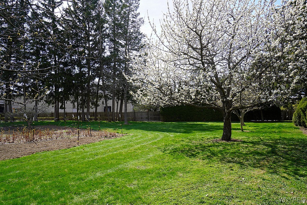 4306 Clark Street, Hamburg, New York image 39