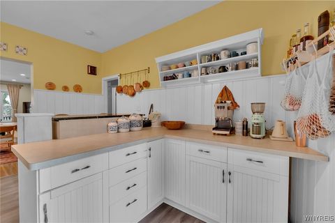Tiny photo for 707 Richmond Avenue, Buffalo, NY 14222 (MLS # B1700532)