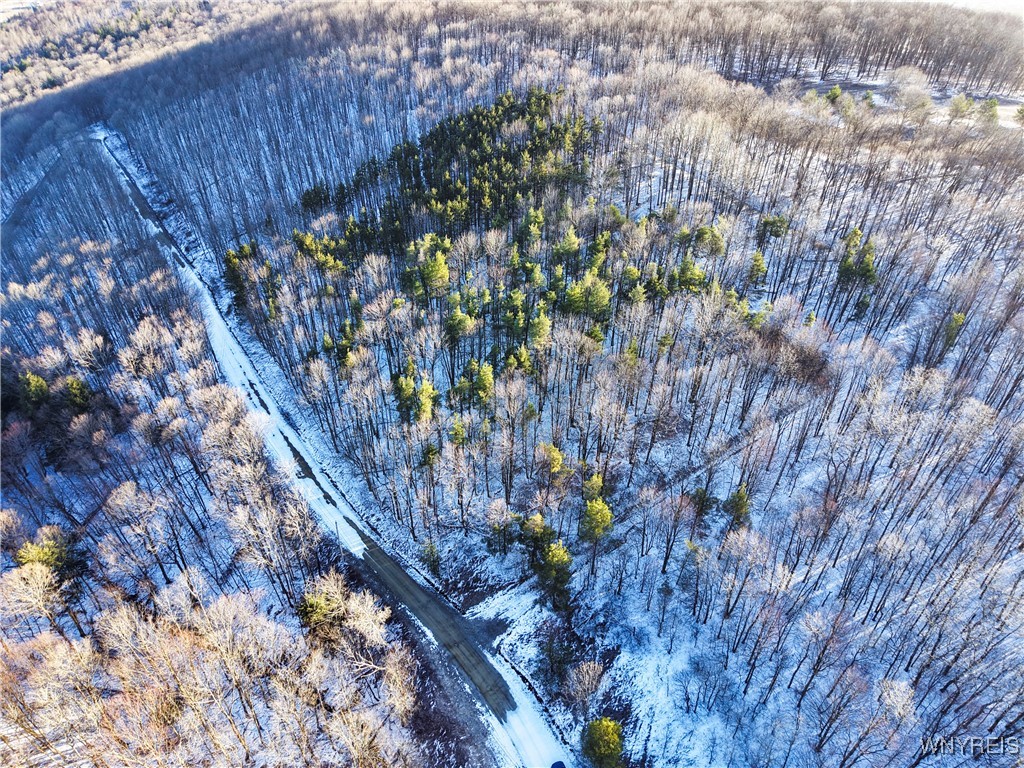 10 & 11 Creek Ridge Road, Ellicottville, New York image 15