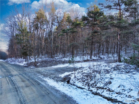 Vacant Land For Sale - 10 & 11 Creek Ridge Road<br/> Cattaraugus County, Ellicottville, NY 14731