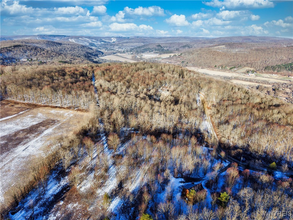 10 & 11 Creek Ridge Road, Ellicottville, New York image 12