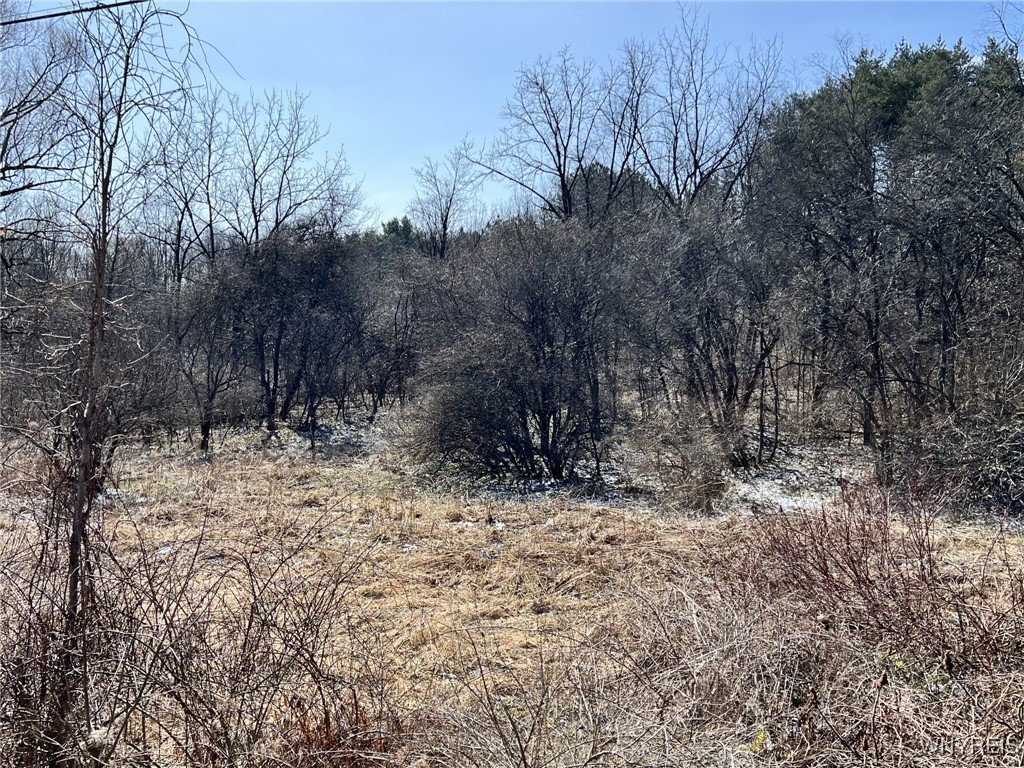 W Seneca Lot 2 Road, Hector, New York image 1
