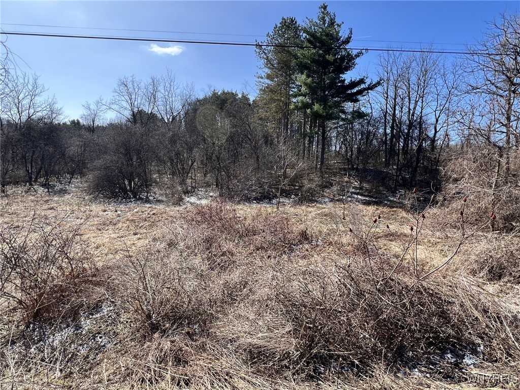 W Seneca Lot 2 Road, Hector, New York image 2