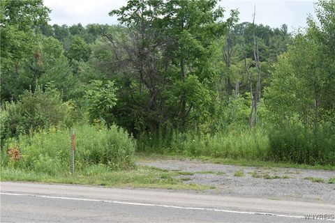 Vacant Land For Sale - 10568 Rt-16<br/> Yorkshire, NY 14030