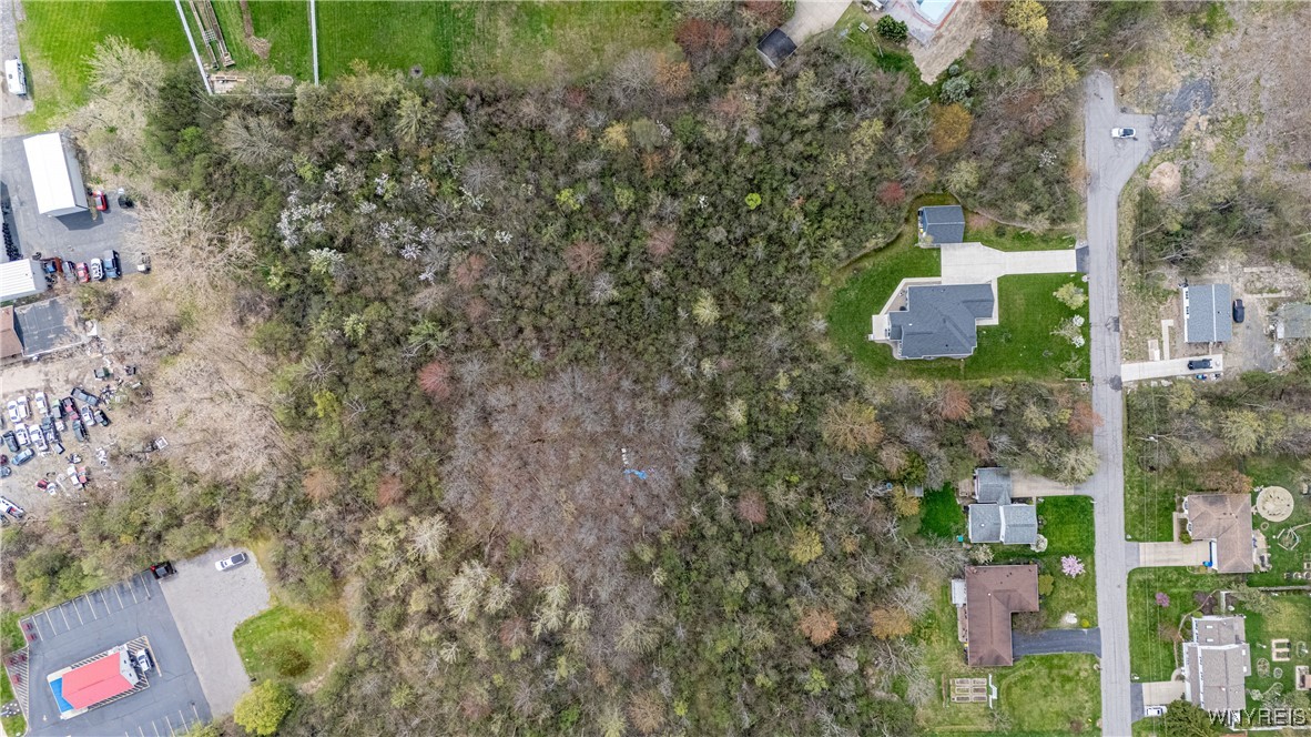 Orchard Avenue, Hamburg, New York image 6