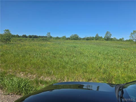 Vacant Land For Sale - LOT #6 Phillips Road Pl<br/> Colden, NY 14080