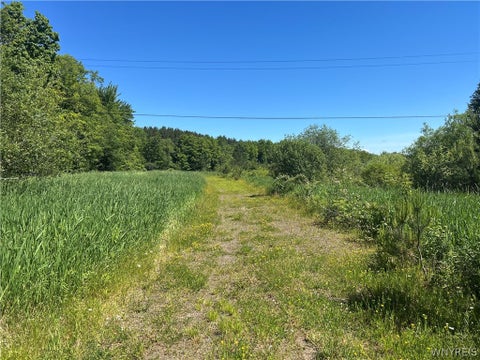 Photo for Warner Hill Road