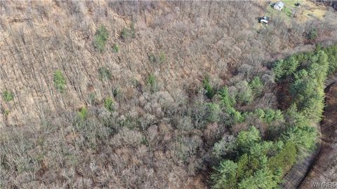 Vacant Land For Sale - Haines Hollow Road<br/> Cattaraugus County, Great Valley, NY 14741