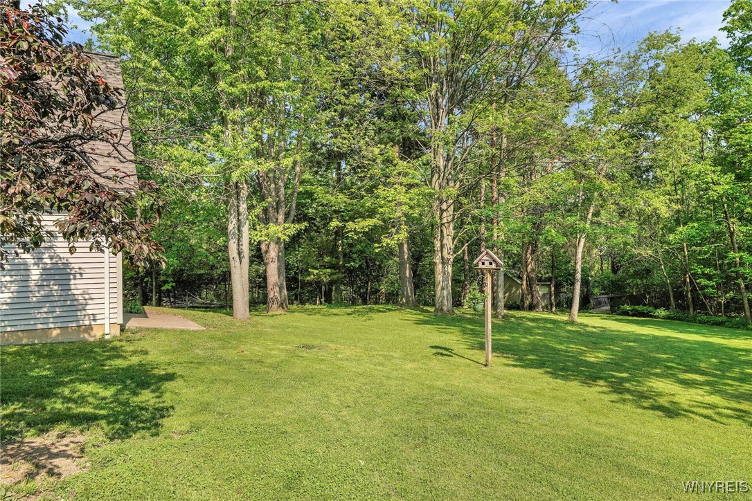 4517 Hidden Hollow Road, Hamburg, New York image 44