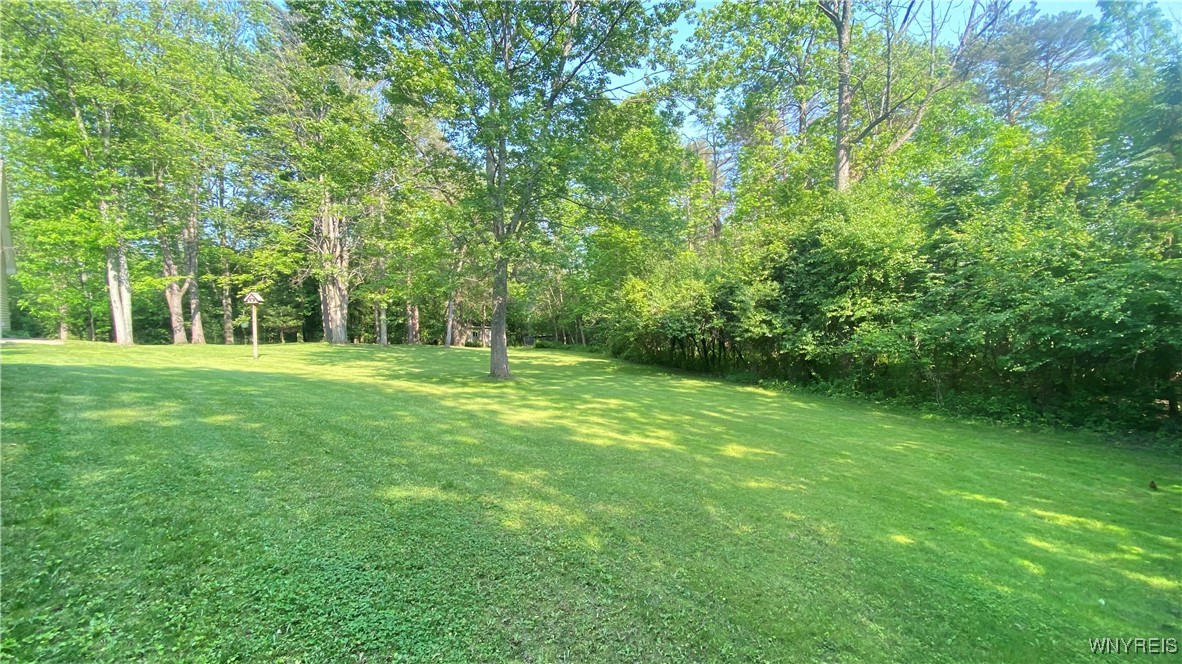 4517 Hidden Hollow Road, Hamburg, New York image 40