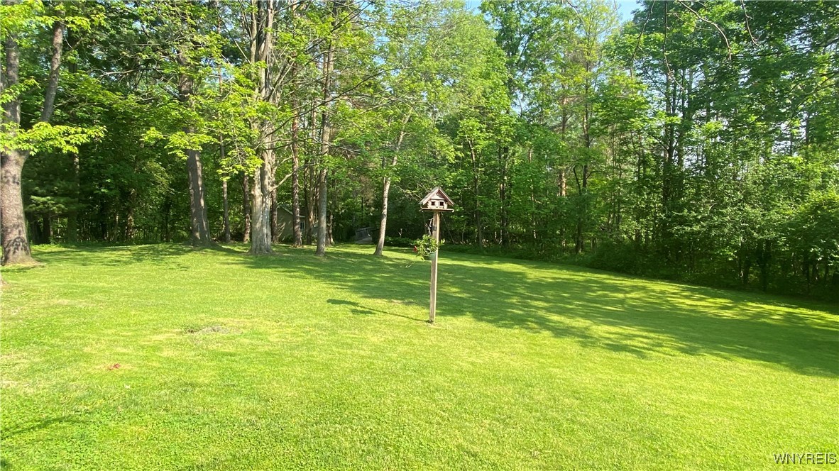 4517 Hidden Hollow Road, Hamburg, New York image 43
