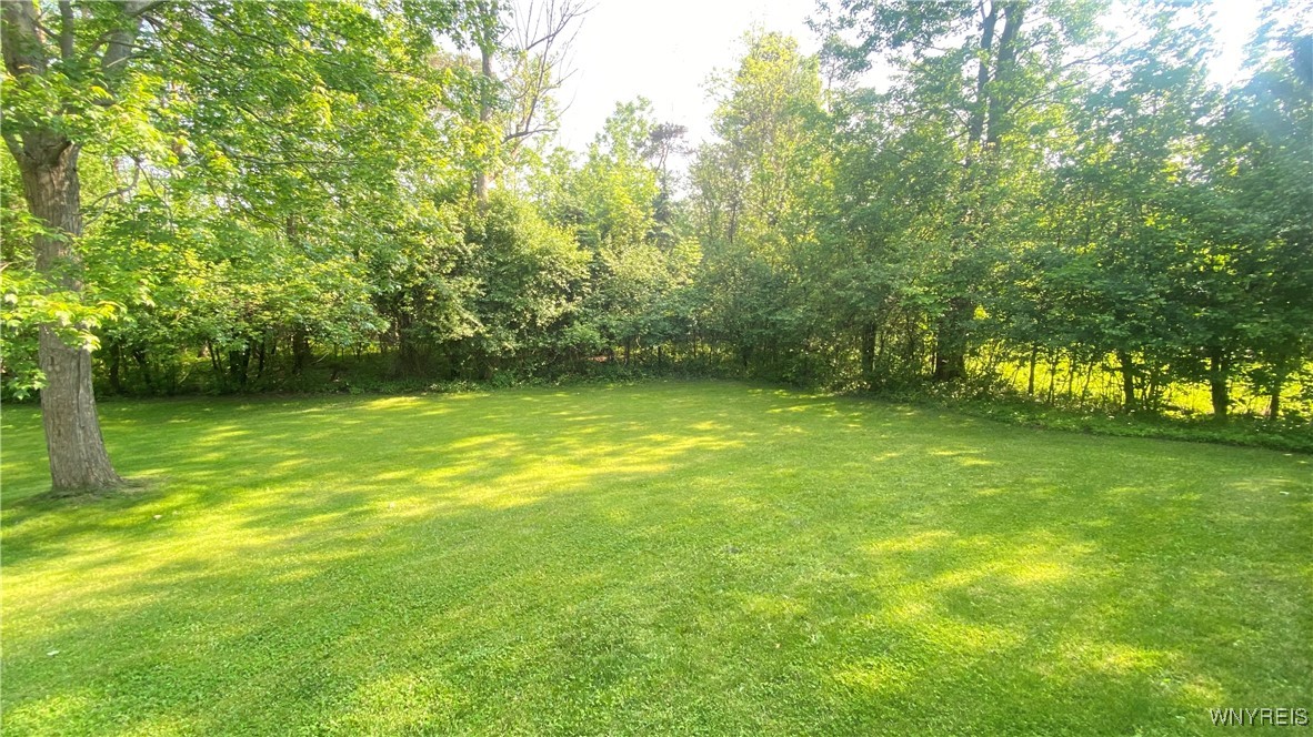 4517 Hidden Hollow Road, Hamburg, New York image 41