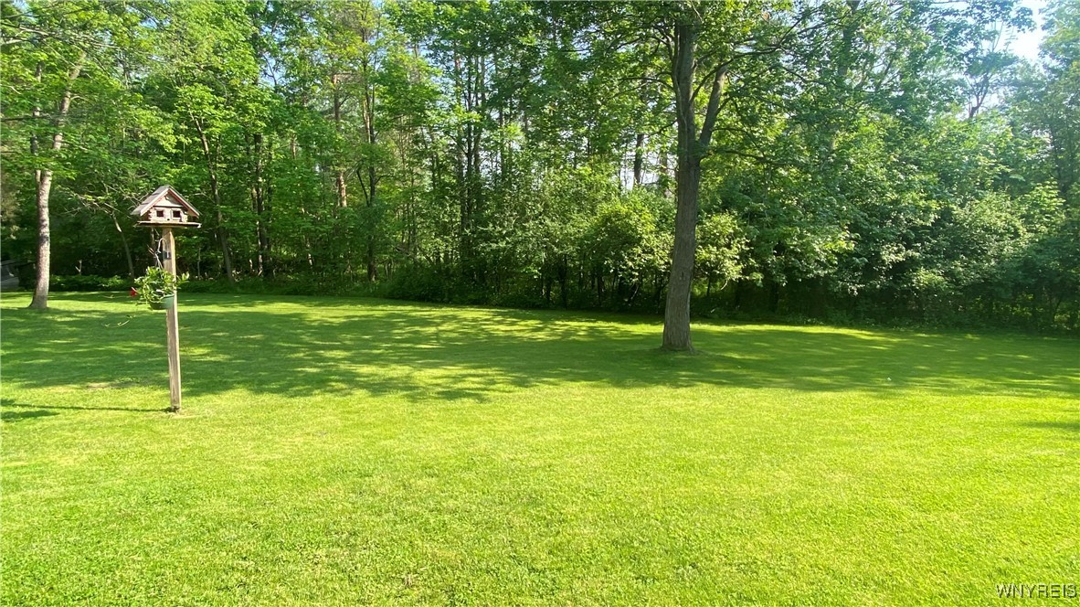 4517 Hidden Hollow Road, Hamburg, New York image 42