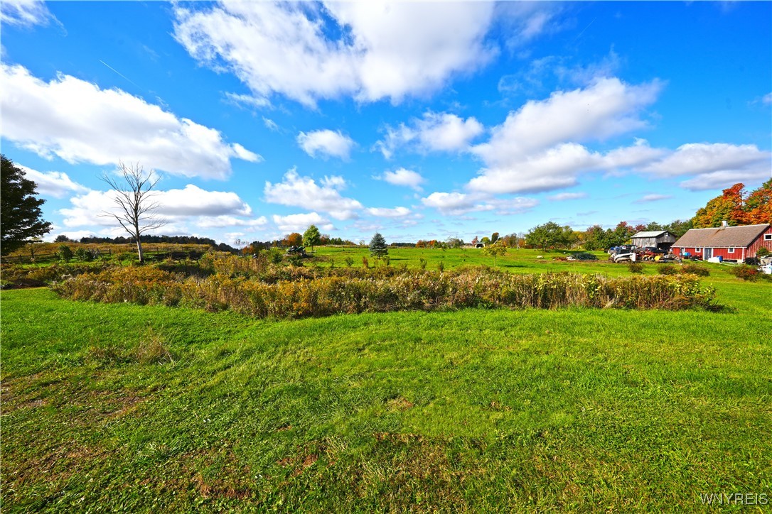 5195 Genesee Road, North Collins, New York image 46
